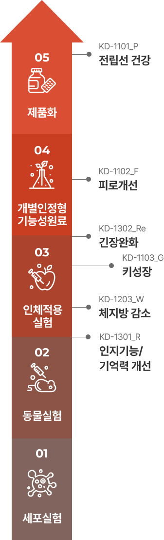 pipeline_m